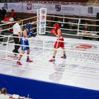 IMG-7336