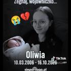Fotka nr 0 z 1