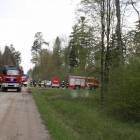 Fotka nr 2 z 5