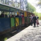 zdjęcie nr 11