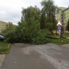 zdjęcie nr 31