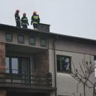 zdjęcie nr 8
