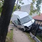Fotka nr 2 z 3