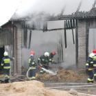 zdjęcie nr 14
