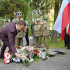 zdjęcie nr 12