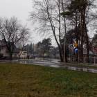 Fotka nr 1 z 2