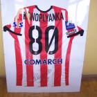 zdjęcie nr 12