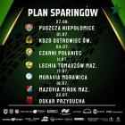 zdjęcie nr 10