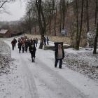 zdjęcie nr 7