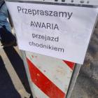 Fotka nr 2 z 5