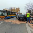 zdjęcie nr 7