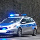 zdjęcie nr 11
