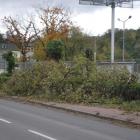 zdjęcie nr 15