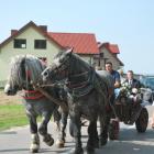 zdjęcie nr 33