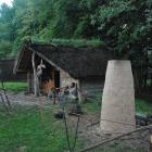 zdjęcie nr 37
