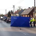 zdjęcie nr 16