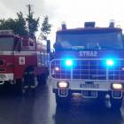 Fotka nr 2 z 6