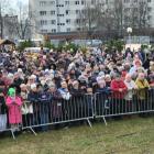 zdjęcie nr 15