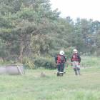 zdjęcie nr 14