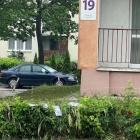 zdjęcie nr 10
