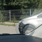 Fotka nr 2 z 3