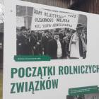 Fotka nr 5 z 9