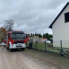 Fotka nr 1 z 3
