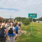 zdjęcie nr 26