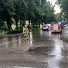 Fotka nr 1 z 5