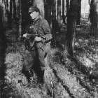 29.Ppor./mjr Marian Świderski 