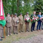 zdjęcie nr 20