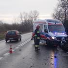 zdjęcie nr 13