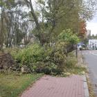 zdjęcie nr 14