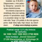 Fotka nr 2 z 3