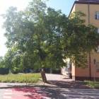 Fotka nr 2 z 5
