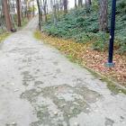zdjęcie nr 8