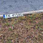 Fotka nr 3 z 6