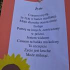 zdjęcie nr 