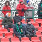 zdjęcie nr 12