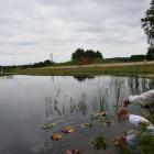 zdjęcie nr 7