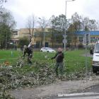 zdjęcie nr 26
