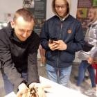 zdjęcie nr 7