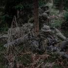 Fotka nr 4 z 10
