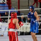 IMG-7346