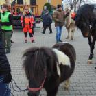 zdjęcie nr 7