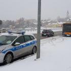 zdjęcie nr 7