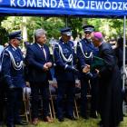 zdjęcie nr 11
