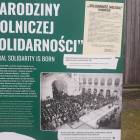 zdjęcie nr 8