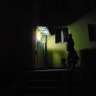 DSC03229