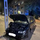 Fotka nr 2 z 4